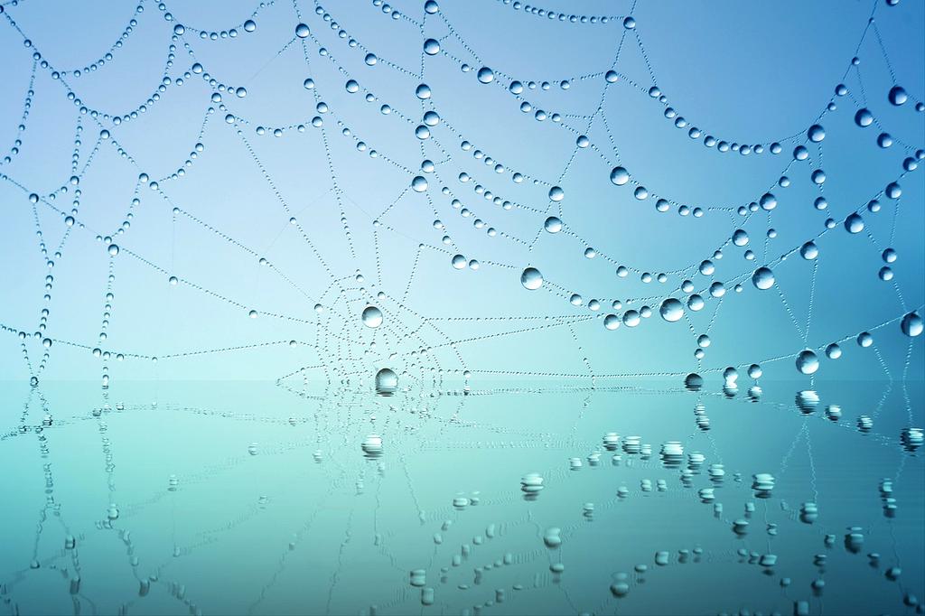 Neural network diagnostic visualization